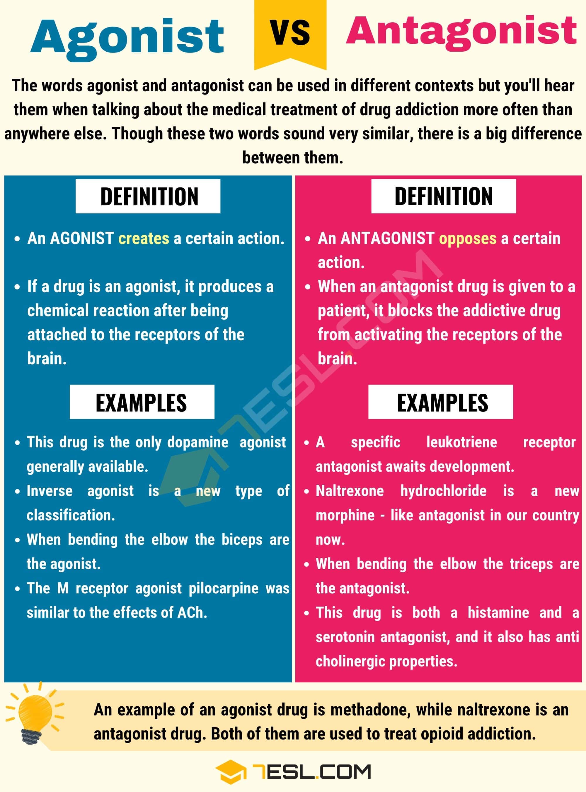 What Are Agonists and Antagonists in Psychology? A Complete Guide