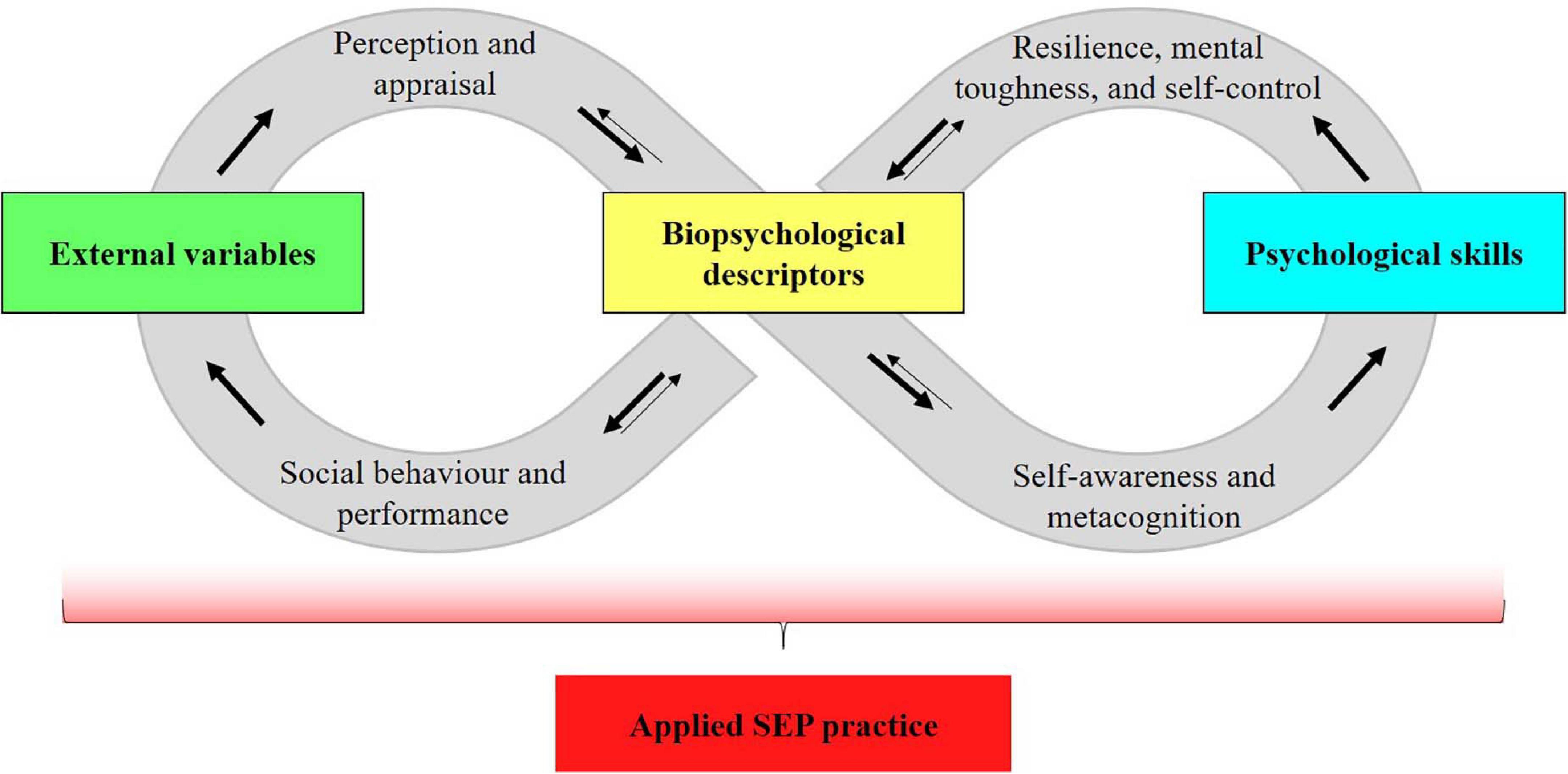 The Importance of Actively Applying Knowledge in Sport and Exercise Psychology for Professionals