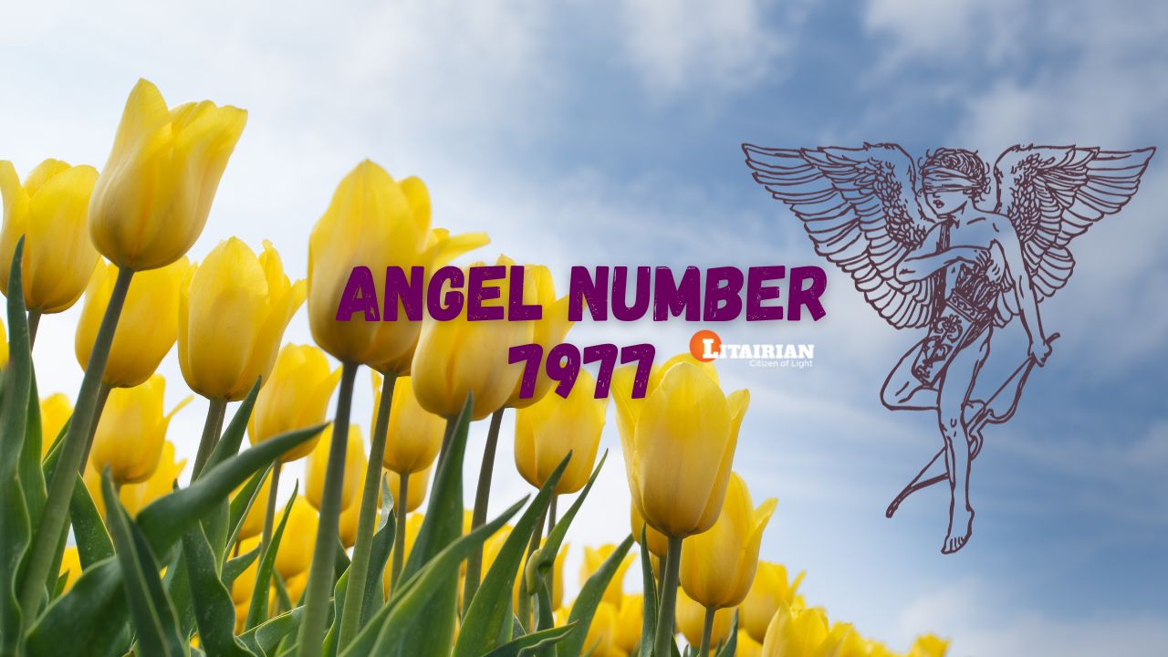 The Spiritual Meaning of Angel Number 7797: A Guide to Positive Transformation