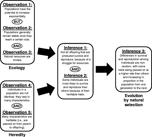 Evolutionary Psychology Explains Why Natural Selection Favors Certain Behaviors