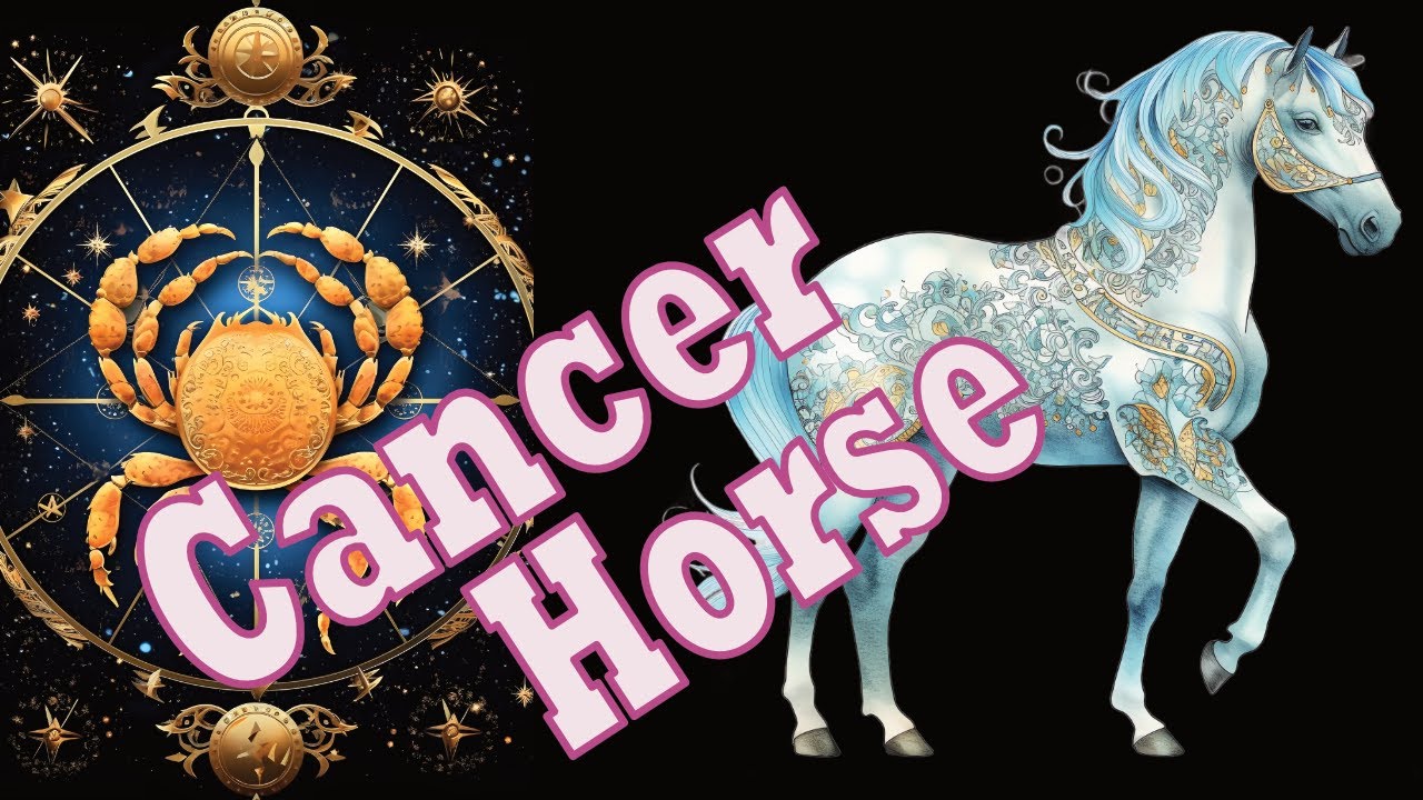 Cancer Horse Horoscope 2024: Personality, Love, and Career