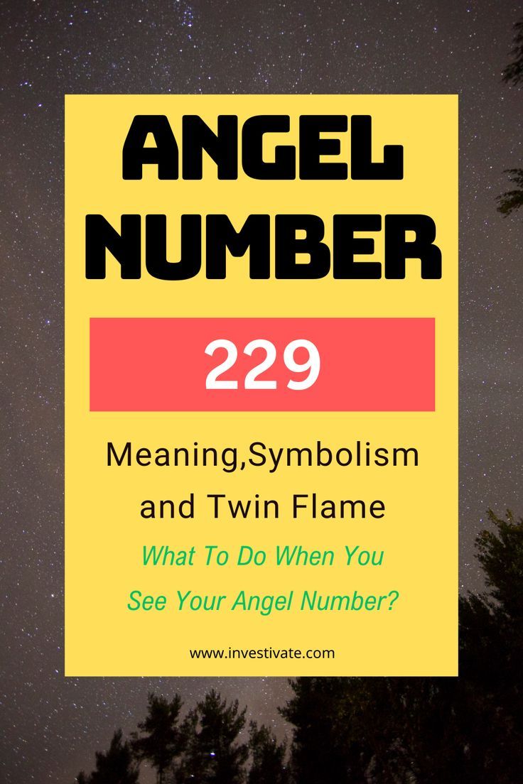 What Does Angel Number 229 Mean? Spiritual Growth, Love, and Manifestation Explained