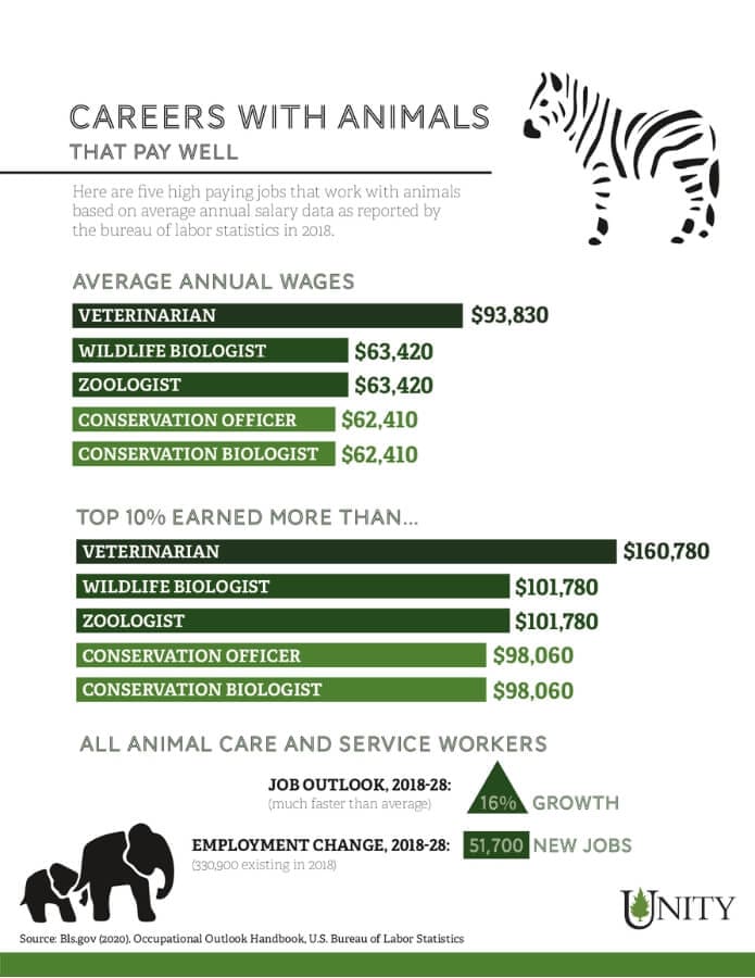 Explore Diverse Animal Psychology Jobs and Career Paths