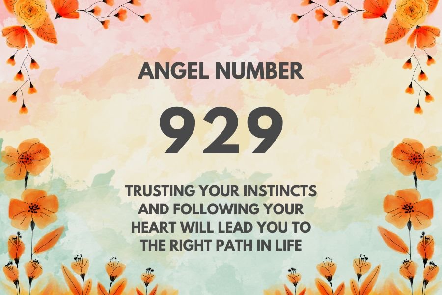 Unlock the Power of 929 Angel Number Manifestation for Personal Growth