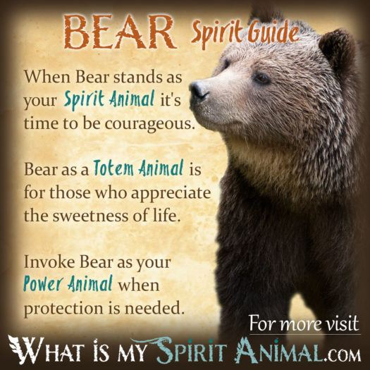 Understanding the Bear Horoscope: How This Totem Influences Your Life