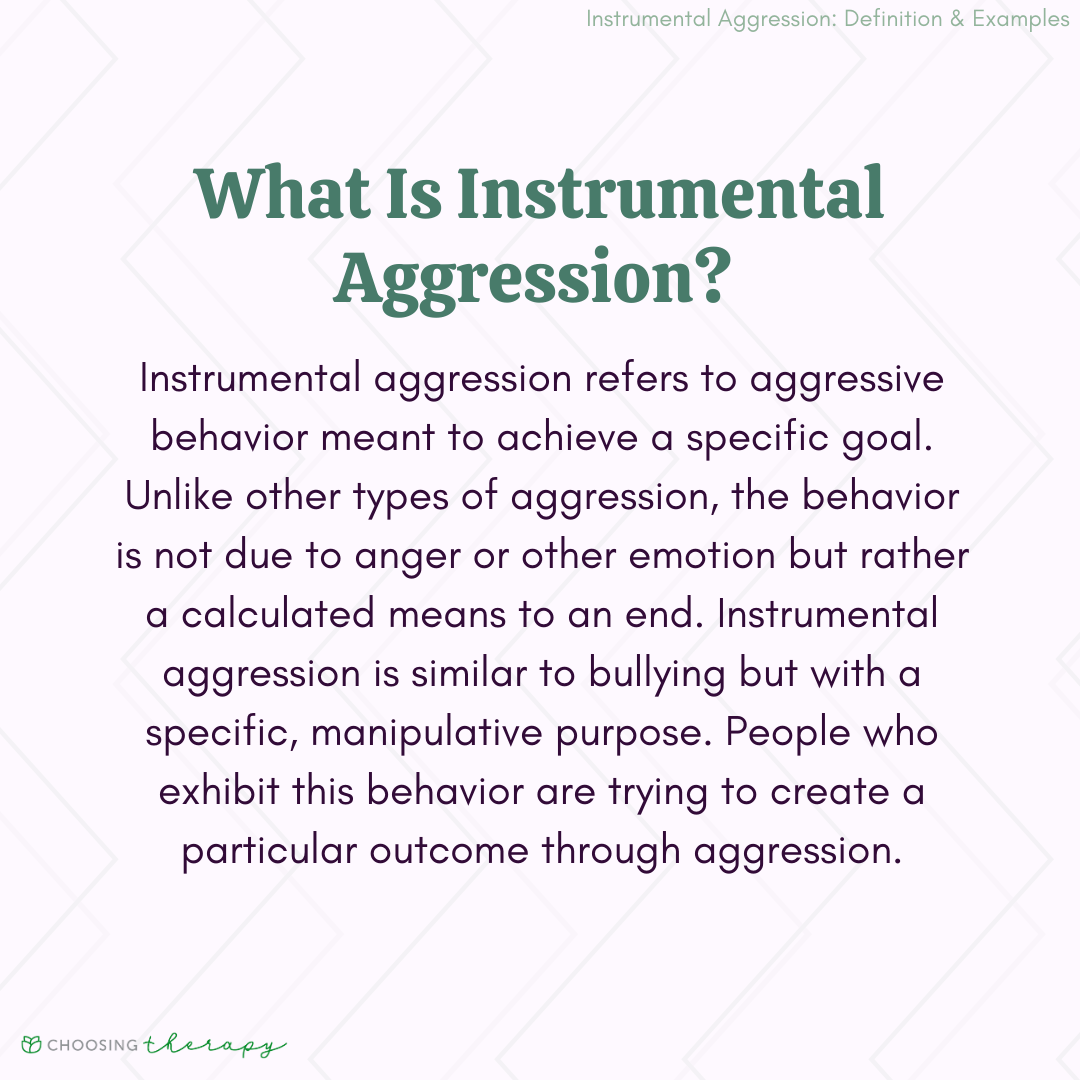 What is Aggression in AP Psychology? Exploring Hostile and Instrumental Behavior