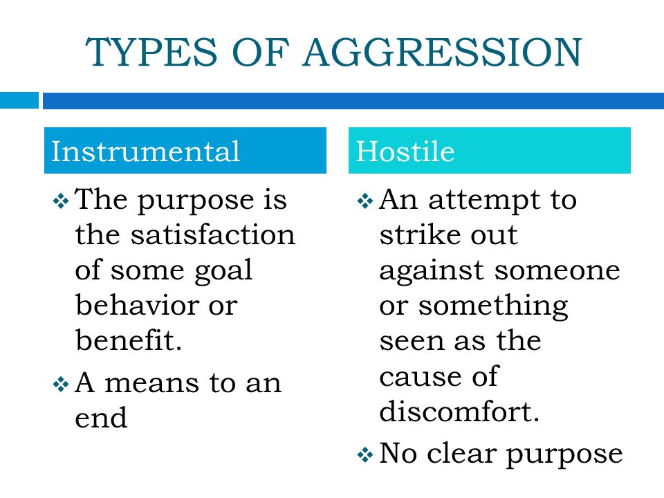 What is Aggression in AP Psychology? Exploring Hostile and Instrumental Behavior