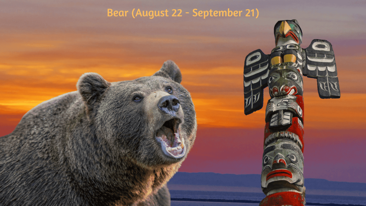 Understanding the Bear Horoscope: How This Totem Influences Your Life