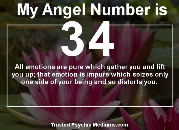 What Angel Numbers 34 and 43 Reveal About Your Future and Love Life