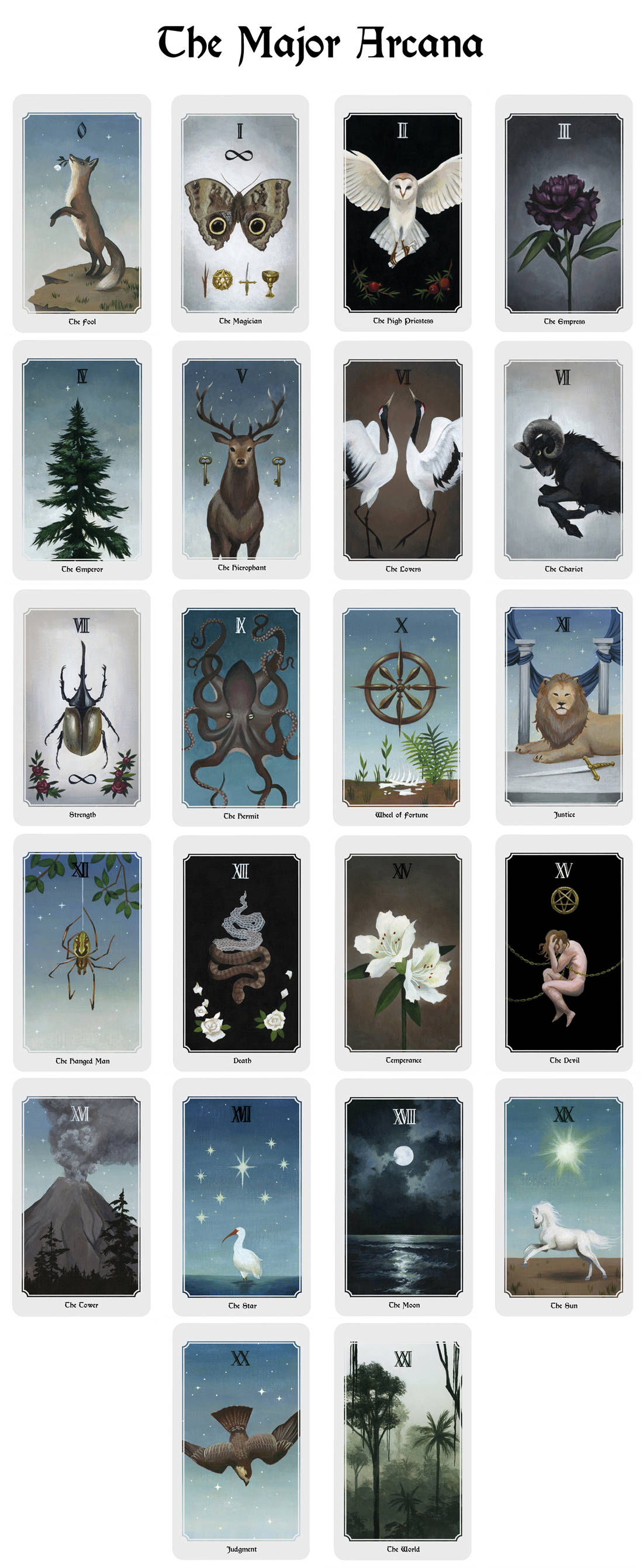 Unveiling the Anima Mundi Tarot: Nature-Based Rider-Waite Deck