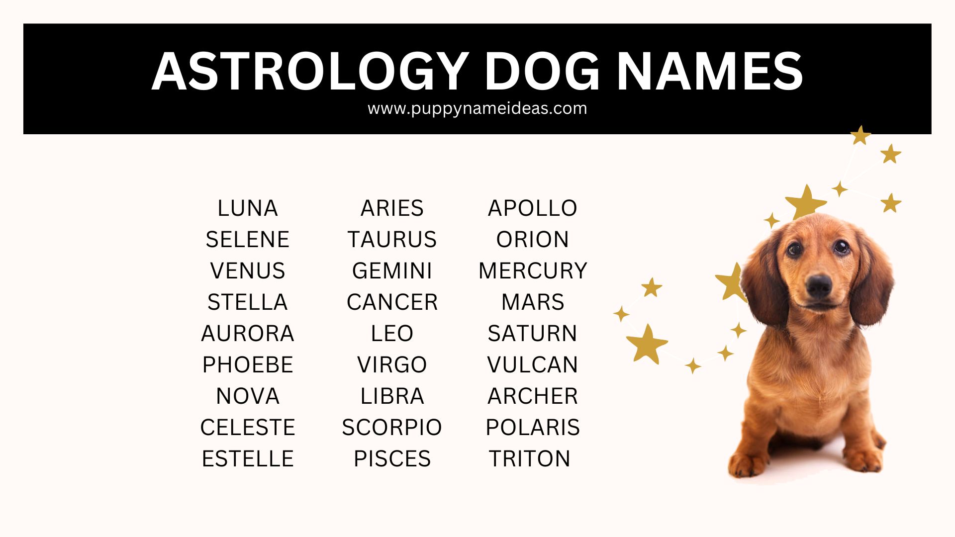 Astrology Dog Names: Find the Perfect Cosmic Name for Your Pup