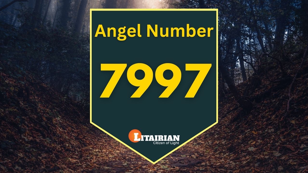 What Does 7997 Angel Number Mean? A Sign of Transformation and Growth