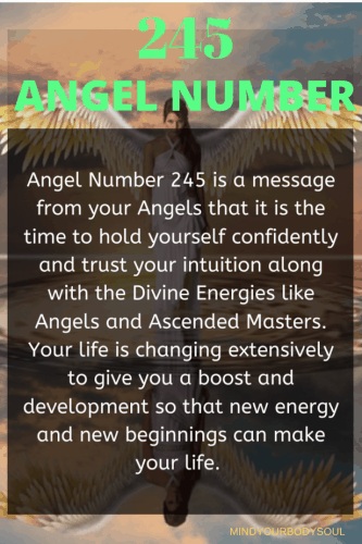 Angel Number 245: Meaning and Significance in Love, Career, and Life