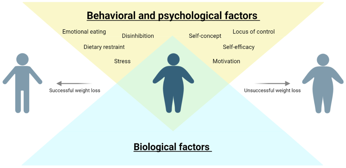 Behavioral and psychological factors affecting weight loss success - what you need to know!