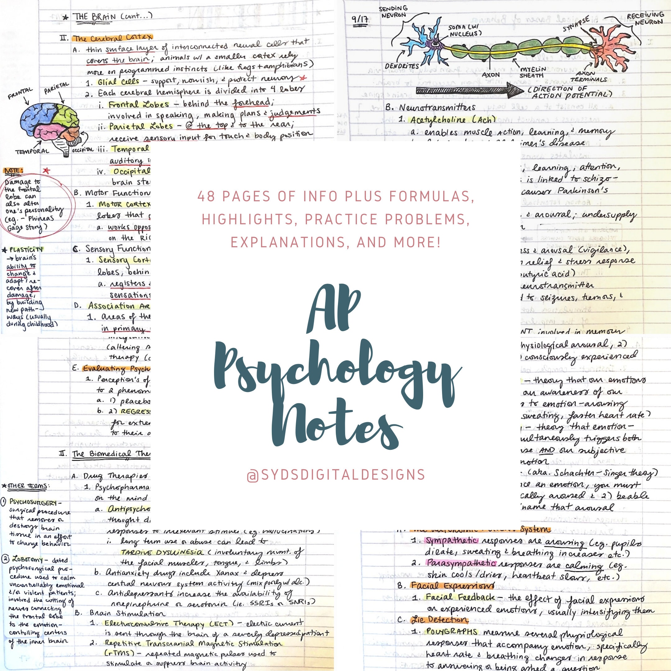 Download AP Psychology Notes PDF: Everything You Need to Know