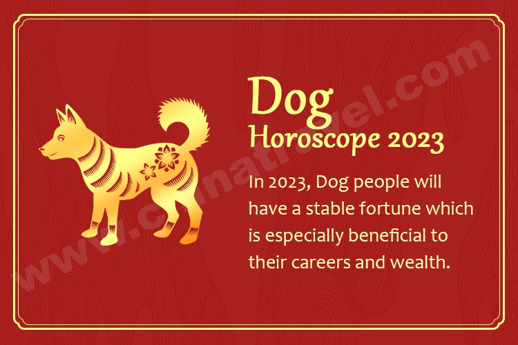 Check Your Dog Chinese Horoscope Today: Love, Money, and More