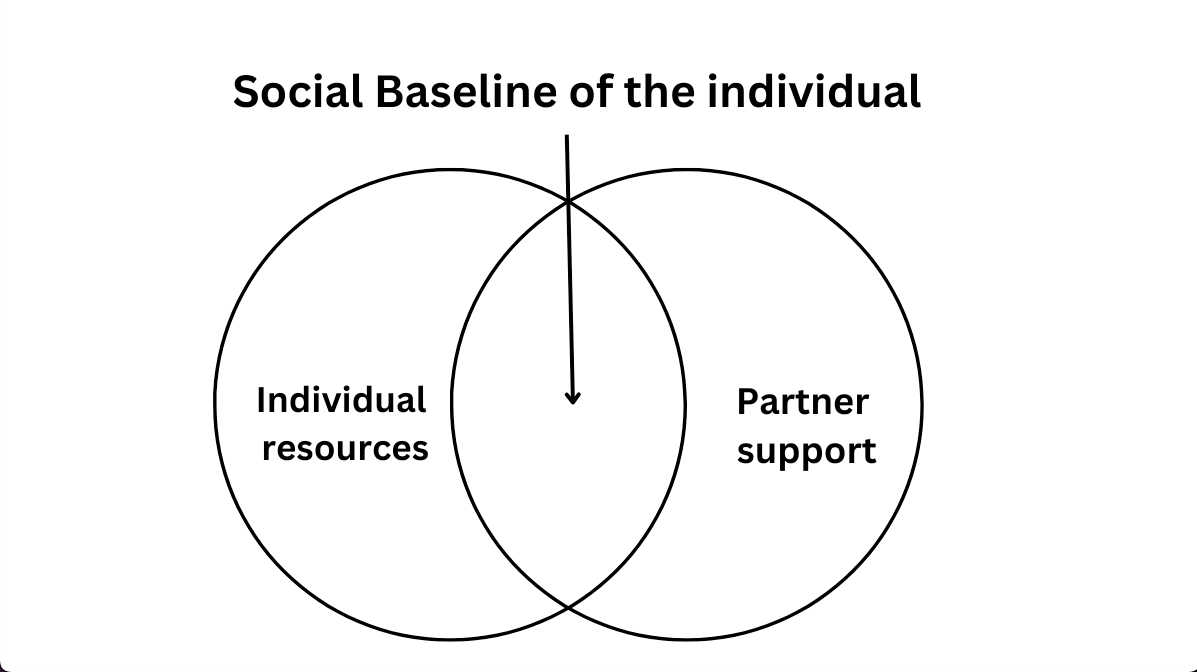 What is Baseline Psychology Definition (Simple Explanation and Examples in Easy Words for Beginners to Understand Everything)