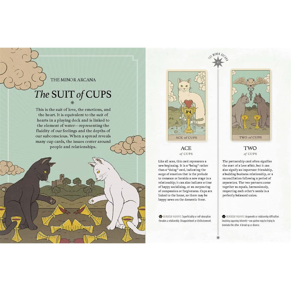 Love, Career, and Tuna? Cats Rule the Earth Tarot Answers It All