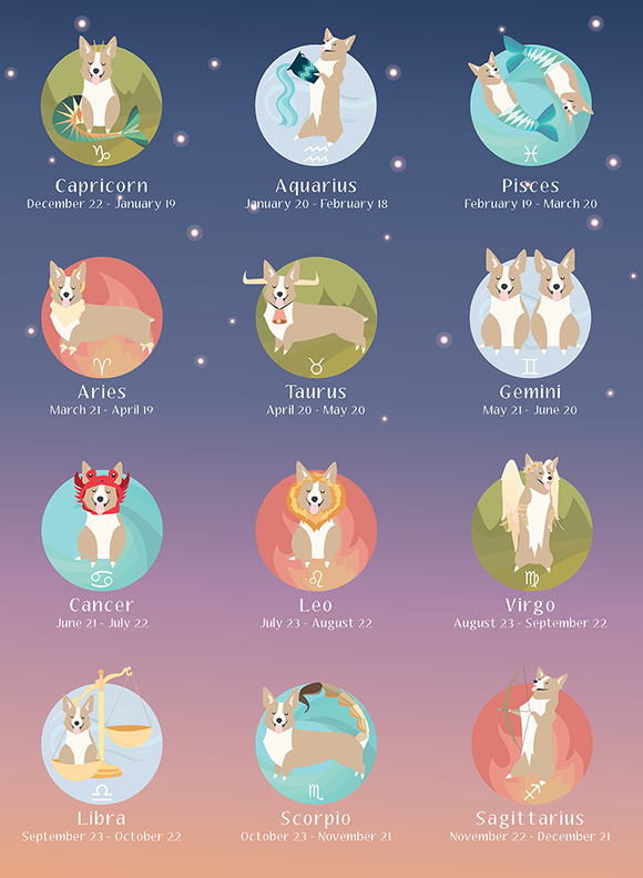 Dog horoscope perras: a fun guide for your furry friend!