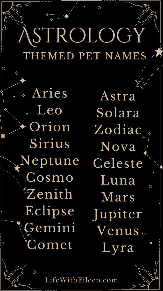 Best Astrology Pet Names:  Top Picks for Zodiac-Inspired Pet Names