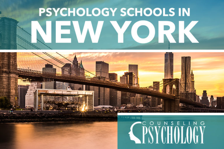 Best Psychology Programs in NY: Your Ultimate Guide