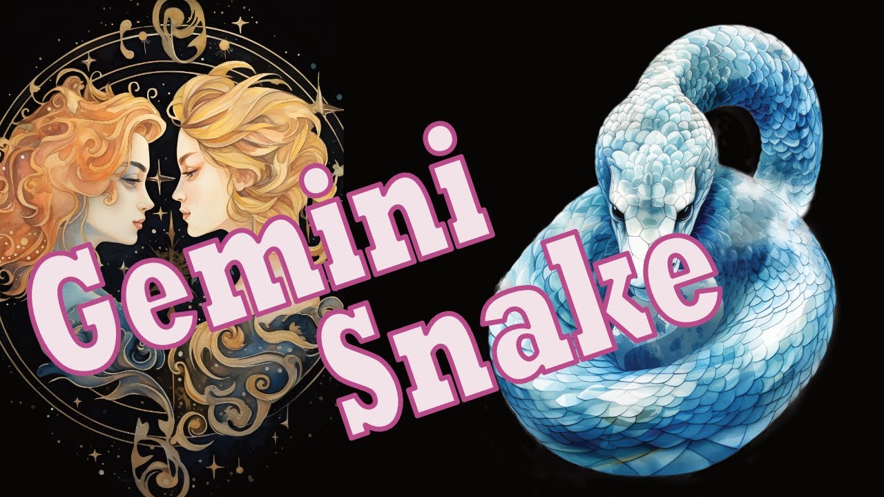 Gemini Snake Horoscope: What Does It Say About You?