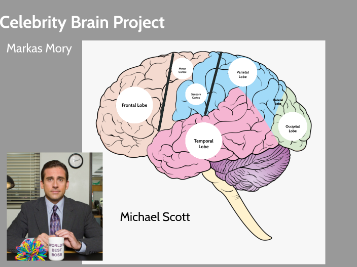 Ace Your AP Psych Project: Celebrity Brain Project Made Simple