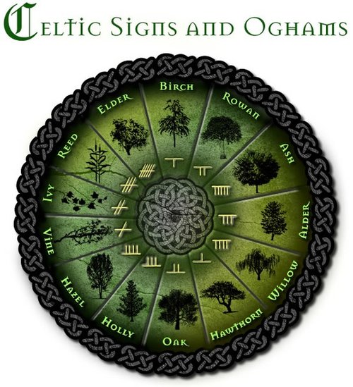 Celtic Astrology Calculator: Find Your Tree Sign Now!