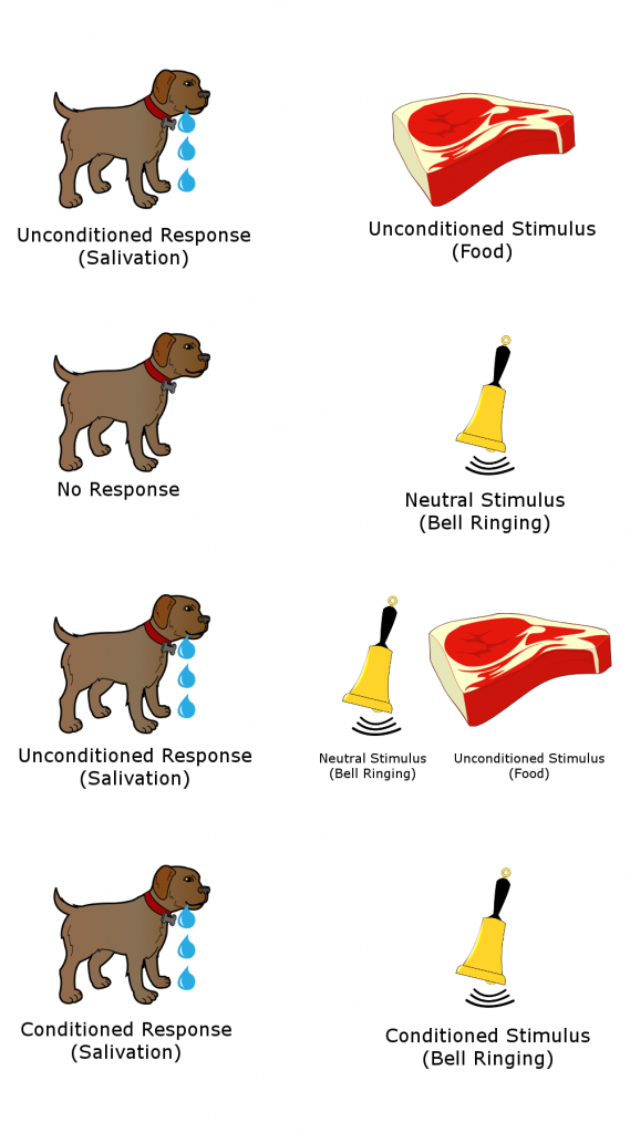 Confused by AP Psychology Experiments? Simple Explanations Here