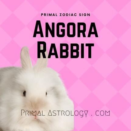 Understand Your Destiny: Capricorn Rabbit Primal Astrology