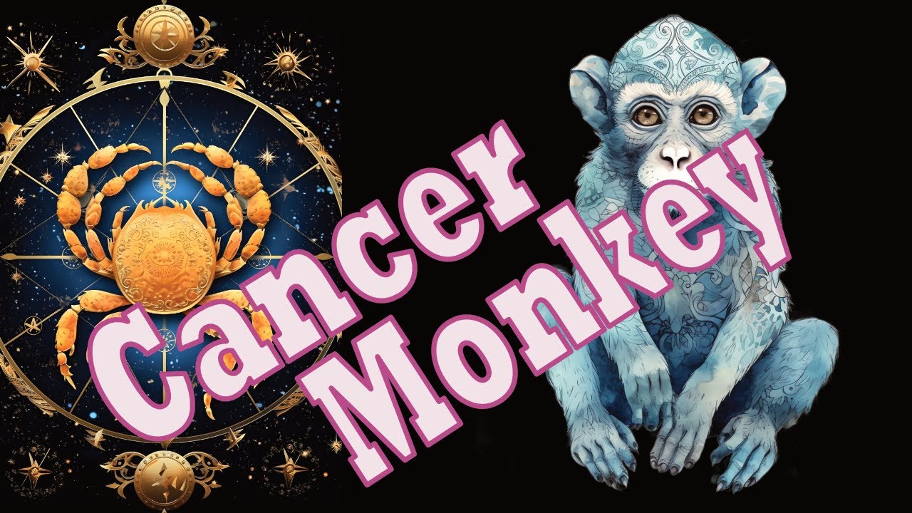 Cancer Monkey Astrology: What Does It Say About You?