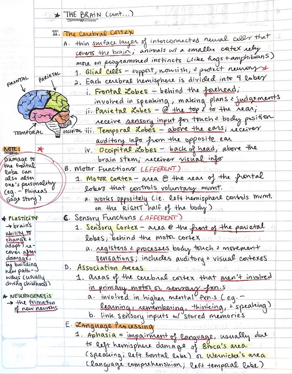 Download AP Psychology Notes PDF: Everything You Need to Know