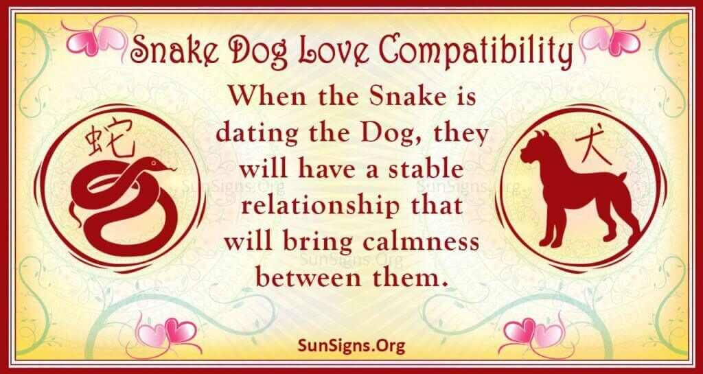 Dog and Snake Chinese Astrology: Will They Find Happiness Together as a Couple?