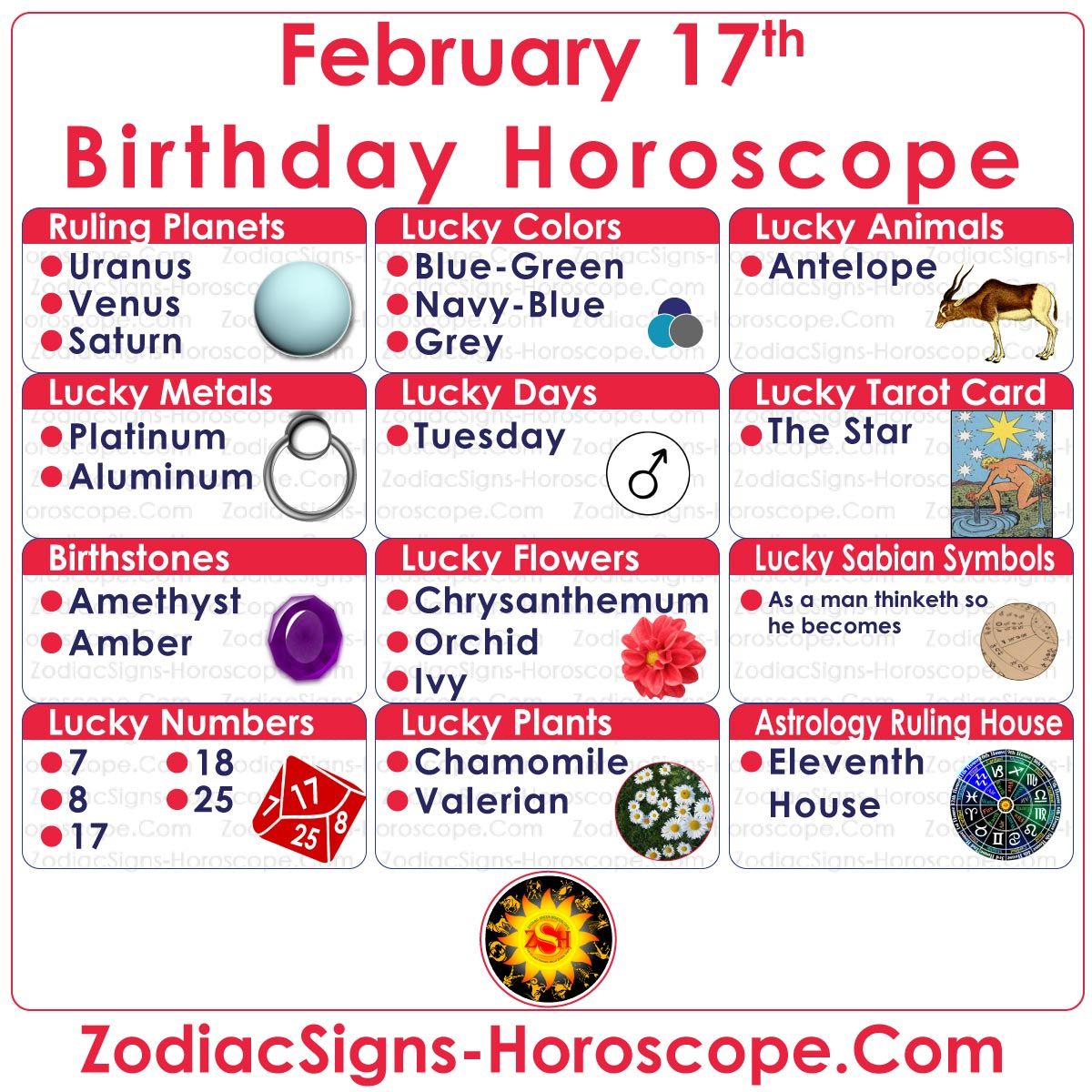 February 17 Birthday Horoscope: What Your Zodiac Sign Says About You