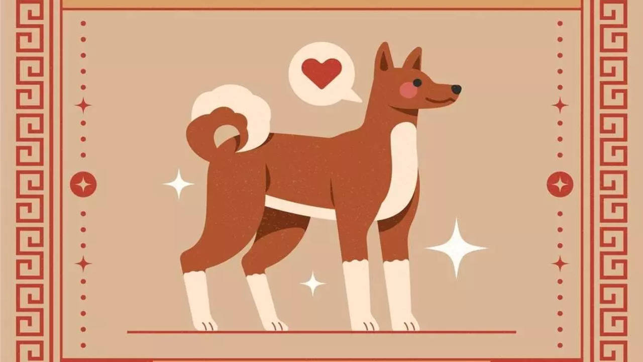 Check Your Dog Chinese Horoscope Today: Love, Money, and More