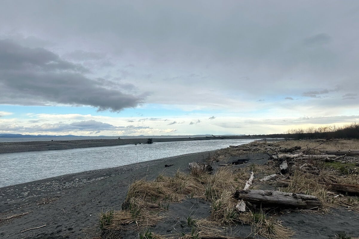 Planning a Trip to Beach Port Angeles? Heres What You Need to Know