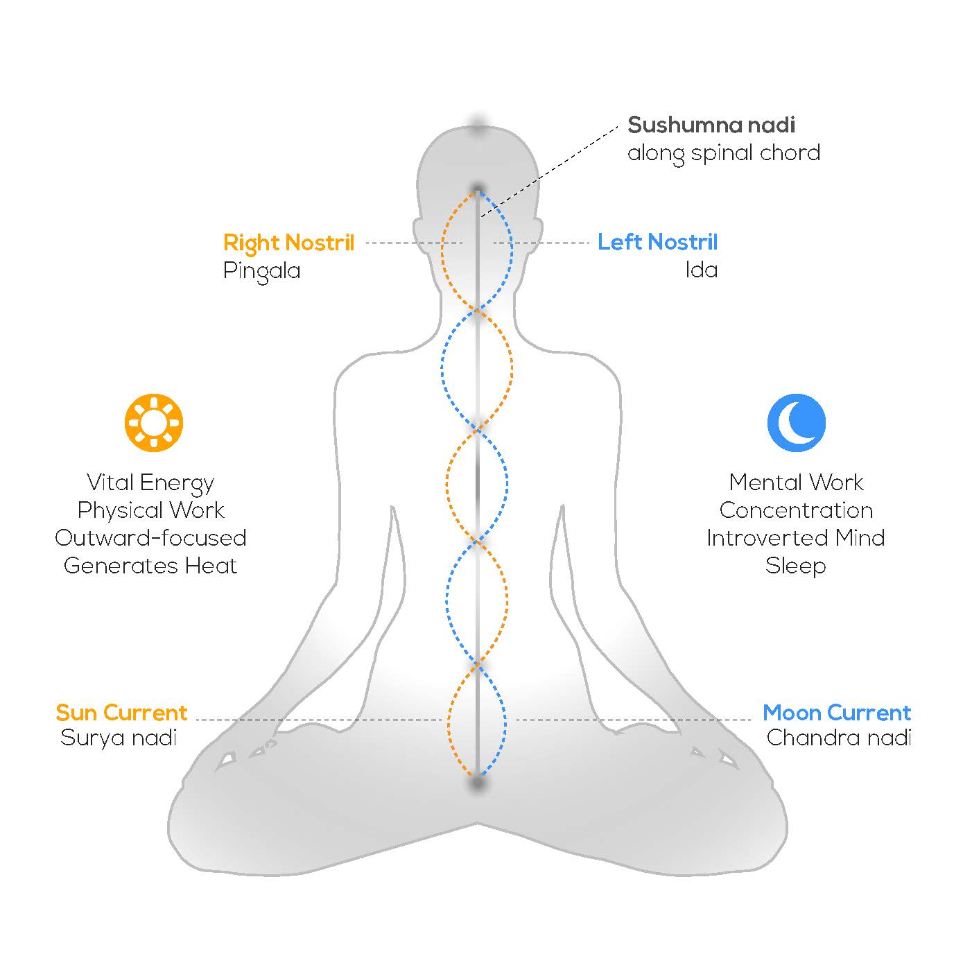 Right Nostril Breathing: Astrology Insights and Meanings