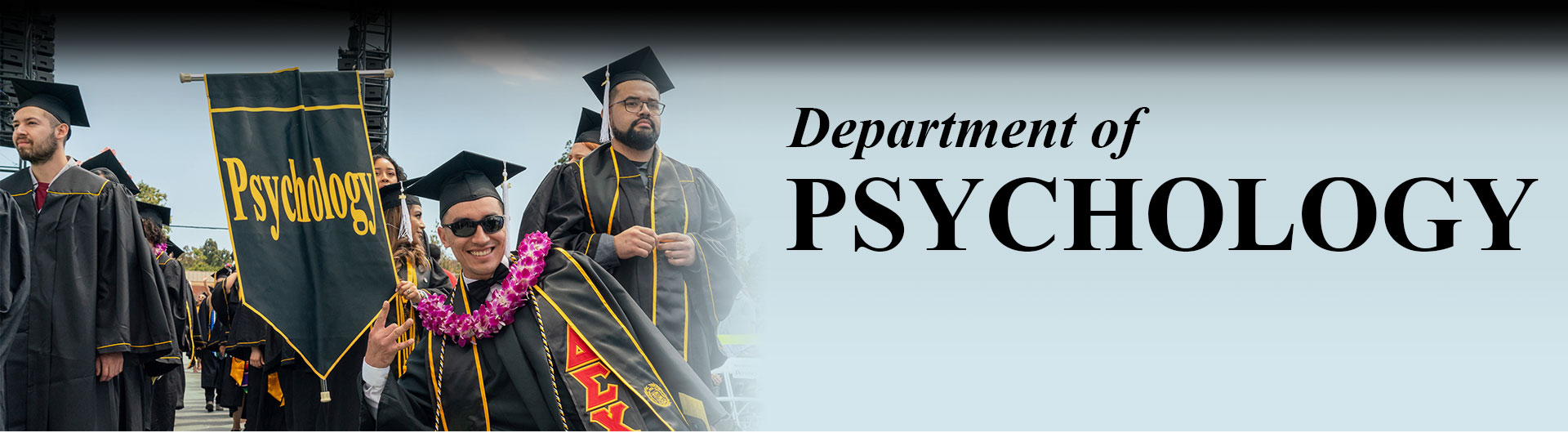 Exploring the best cal state psychology programs (undergraduate and graduate options)