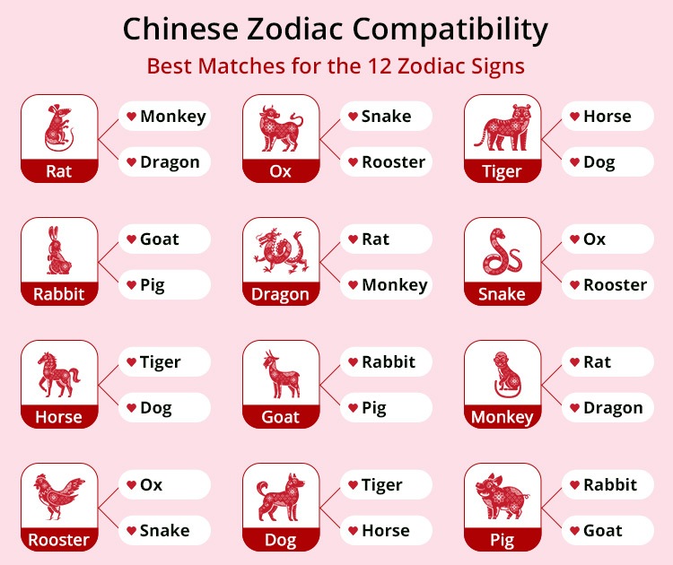 Dog and Snake Chinese Astrology: Will They Find Happiness Together as a Couple?