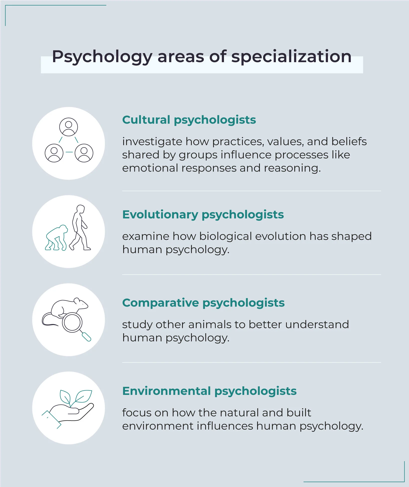 Discover Your Passion: Exploring Areas of Specialisation in Psychology