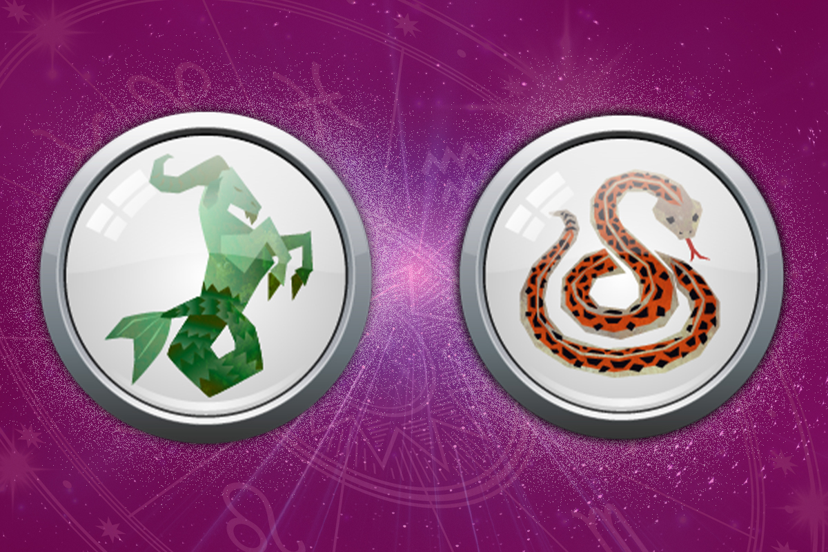 Decoding Capricorn Snake in Primal Astrology: A Simple Guide