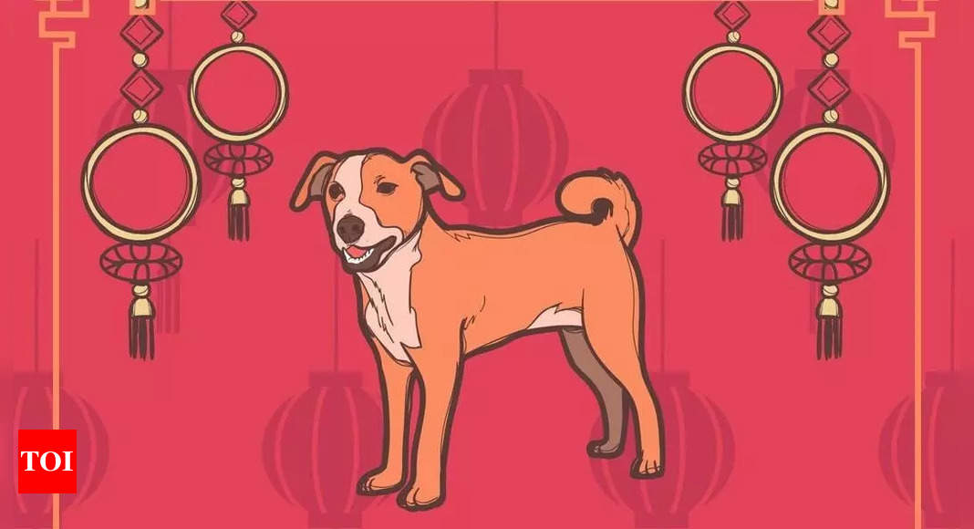 Get Your Daily Dose of Dog Chinese Horoscope Insights Here