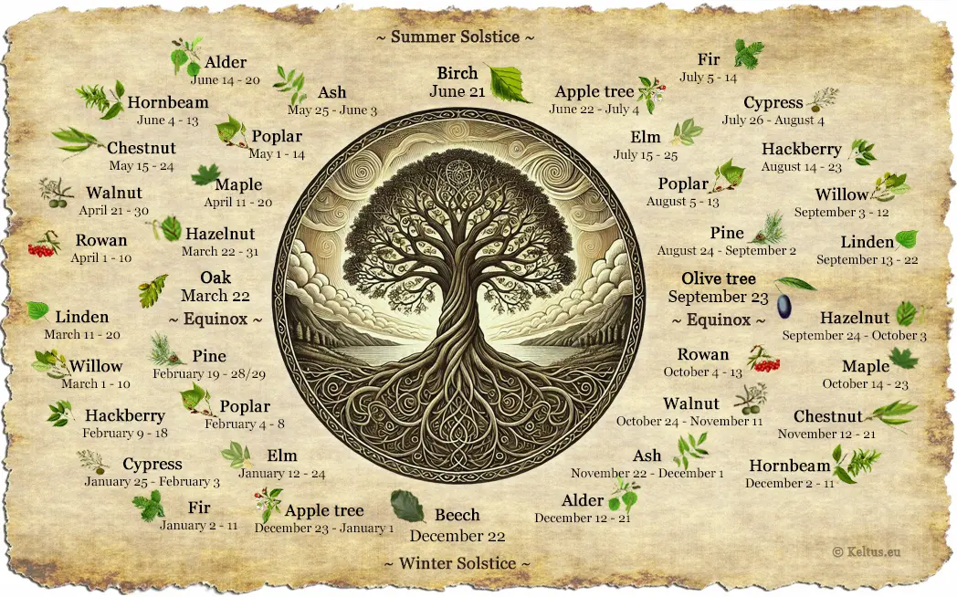 Celtic Astrology Calculator: Find Your Tree Sign Now!