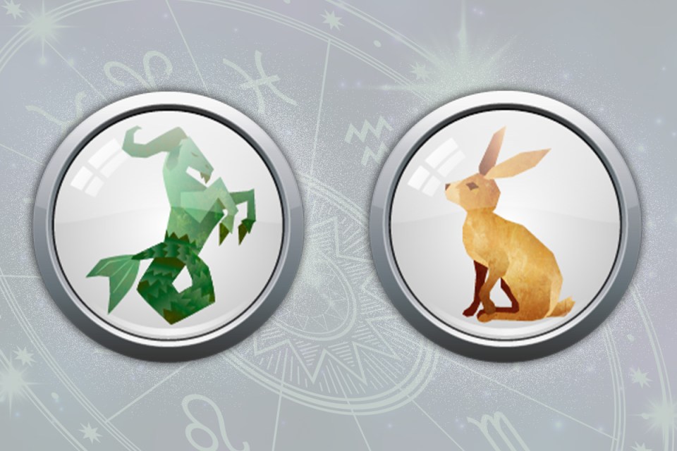 Understand Your Destiny: Capricorn Rabbit Primal Astrology