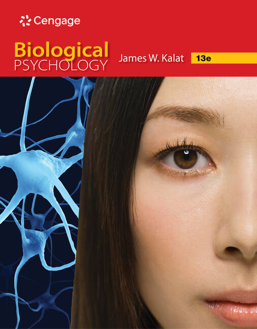 Get Biological Psychology 13th Edition James W Kalat: Learn Brain Basics in Plain English.