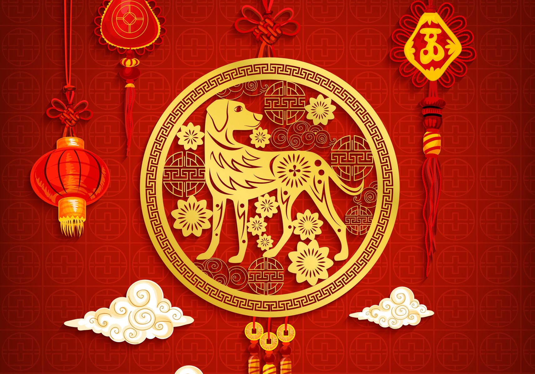 Check Your Dog Chinese Horoscope Today: Love, Money, and More