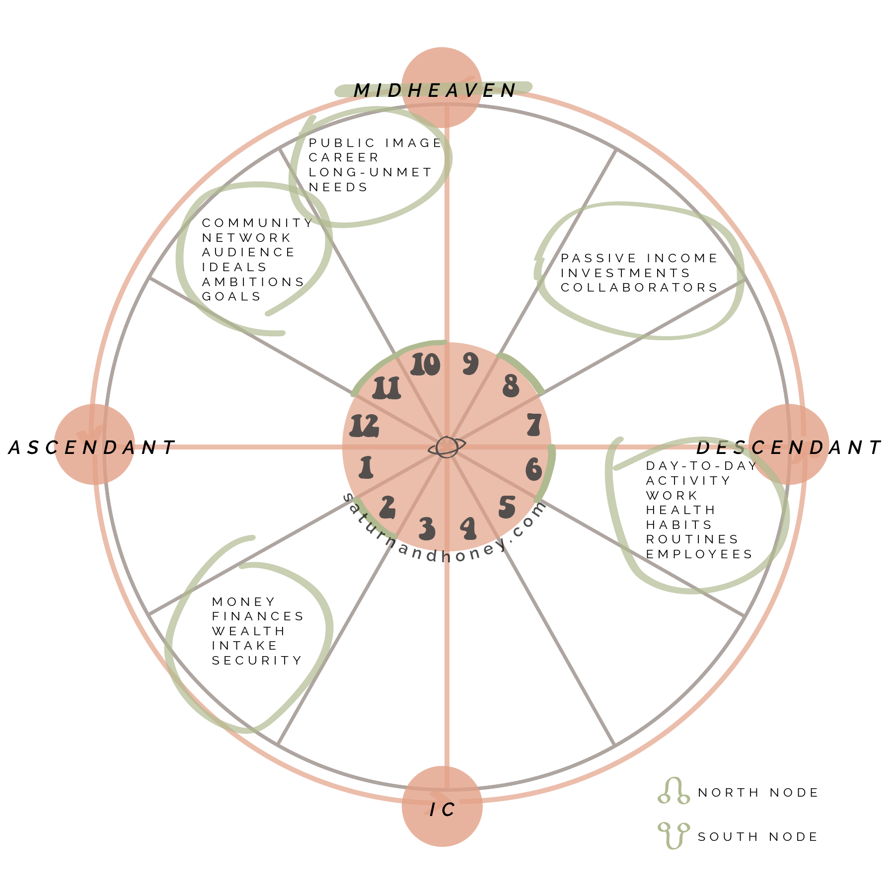 Whats Your Career Path? Check Your Horoscope by DOB!