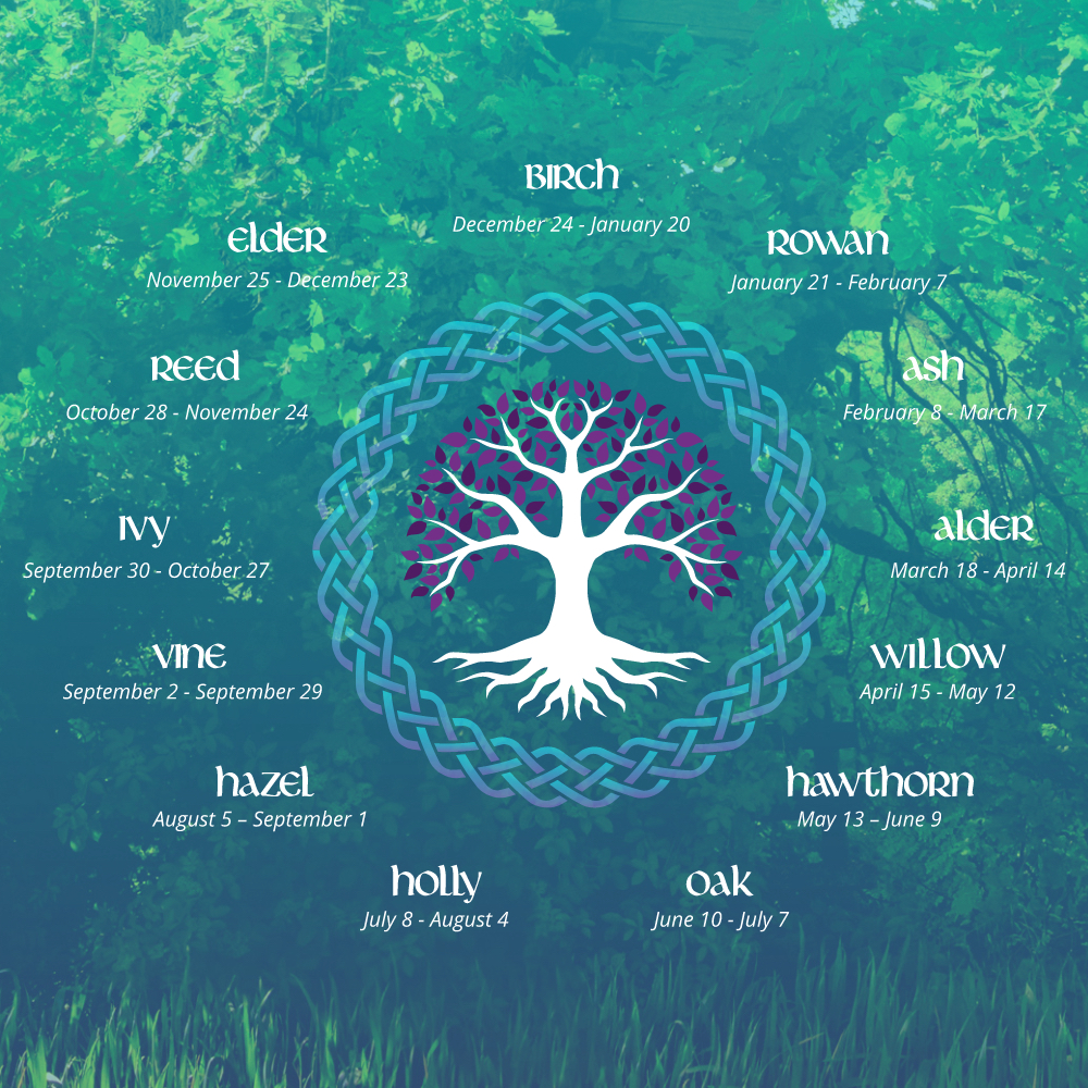 Celtic Astrology Calculator: Find Your Tree Sign Now!