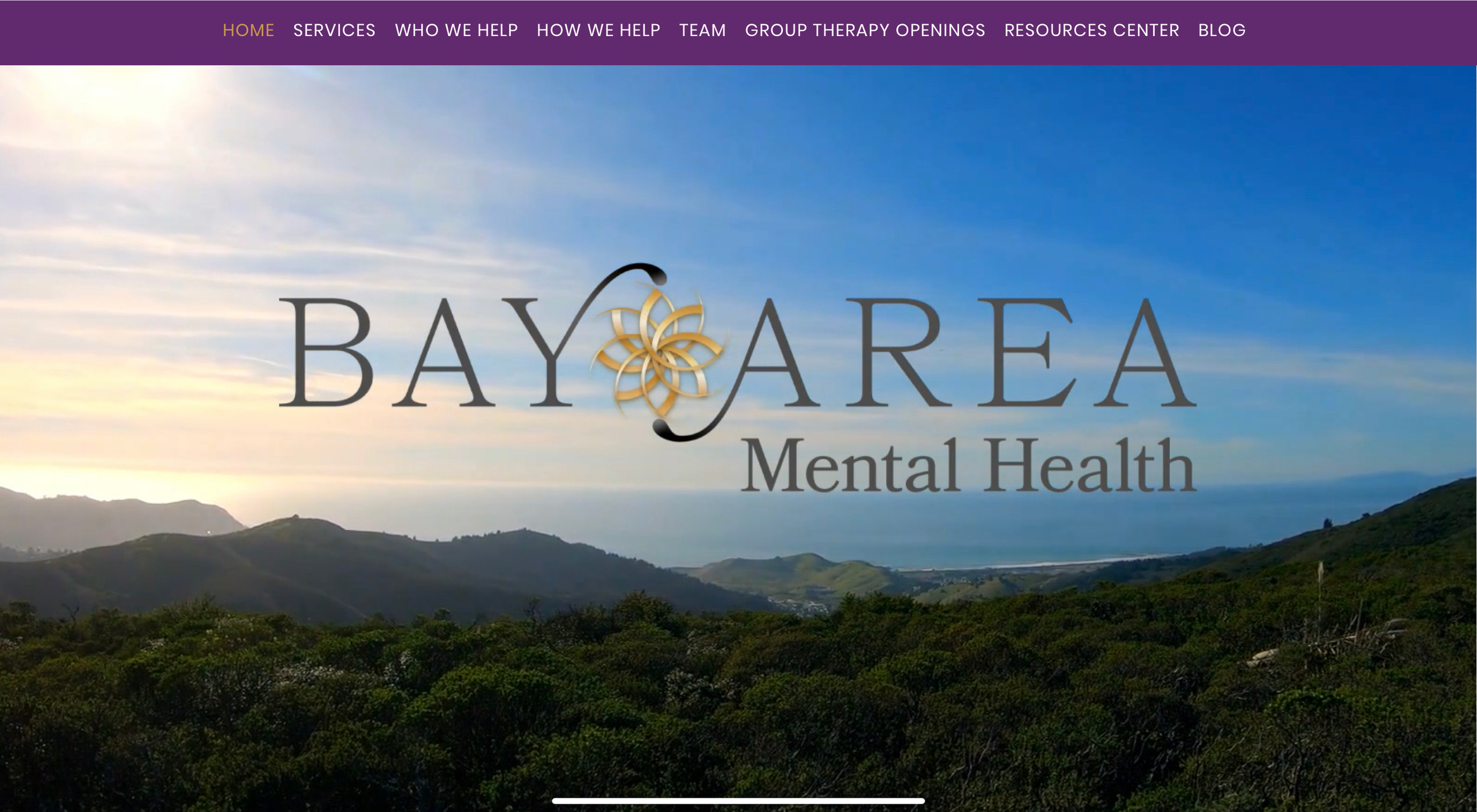 Bay Area Psychology Associates: Your Partner in Mental Wellness (Friendly and Experienced Therapists Here to Help)