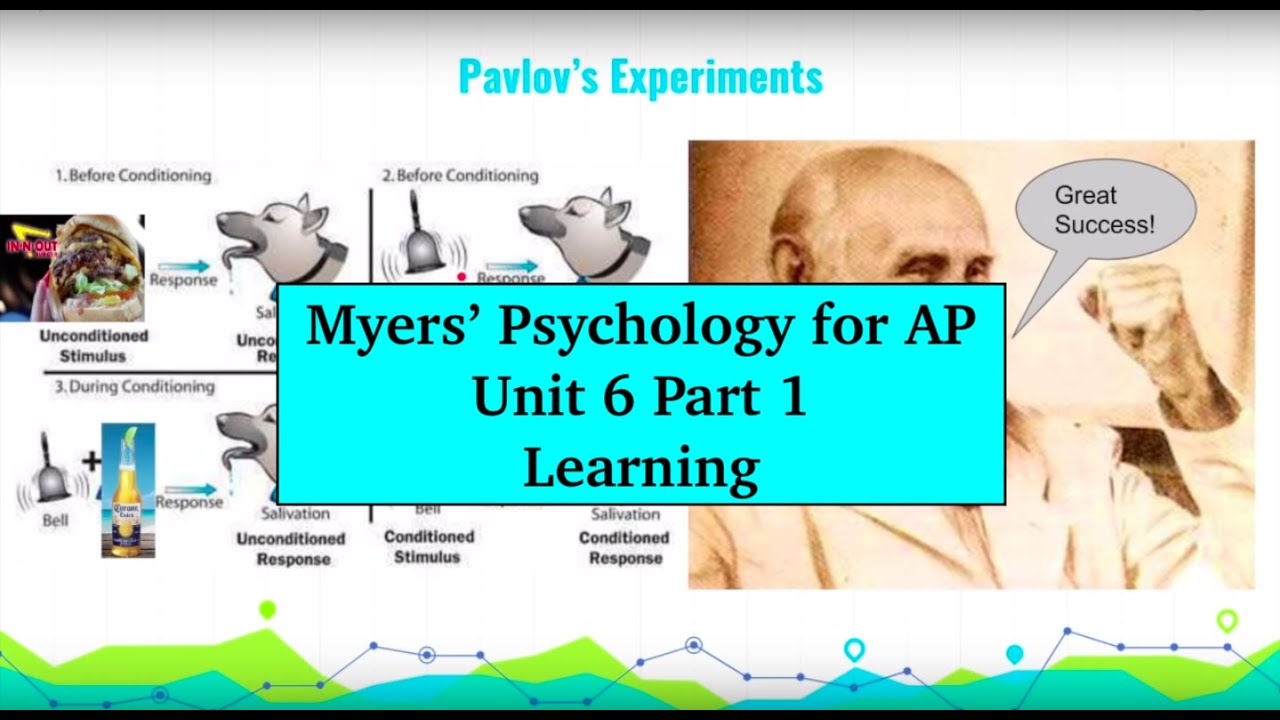 Confused by AP Psych?  Myers Notes to the Rescue!